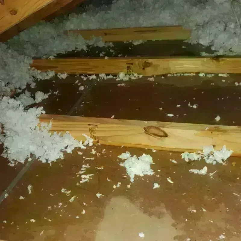 Attic Water Damage in Central Islip, NY